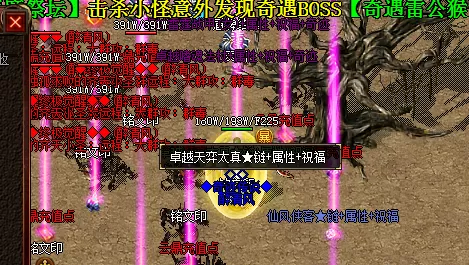 19.webp