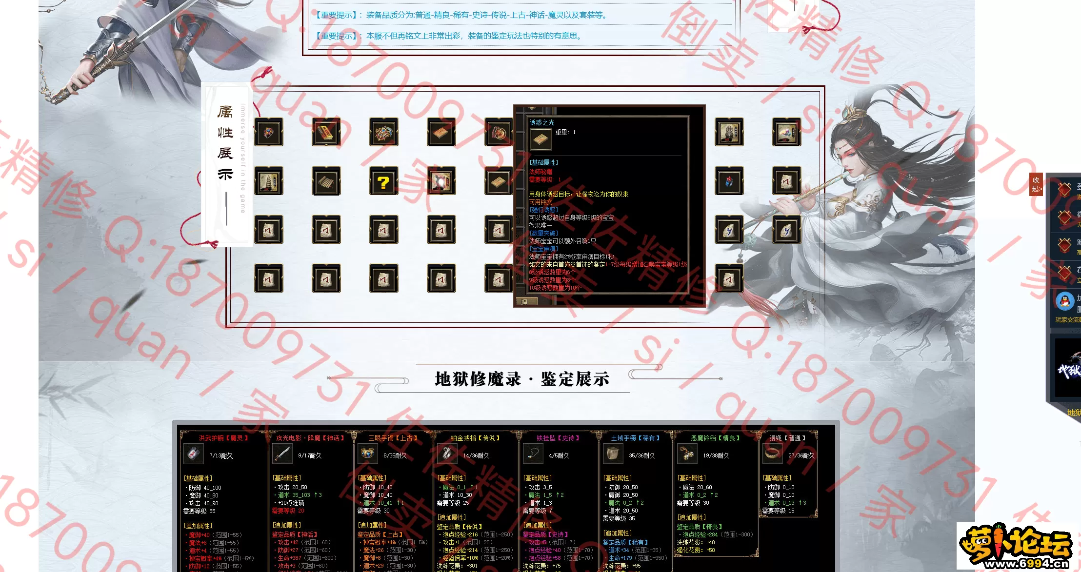 网站2.webp