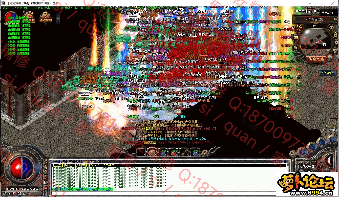 11.webp
