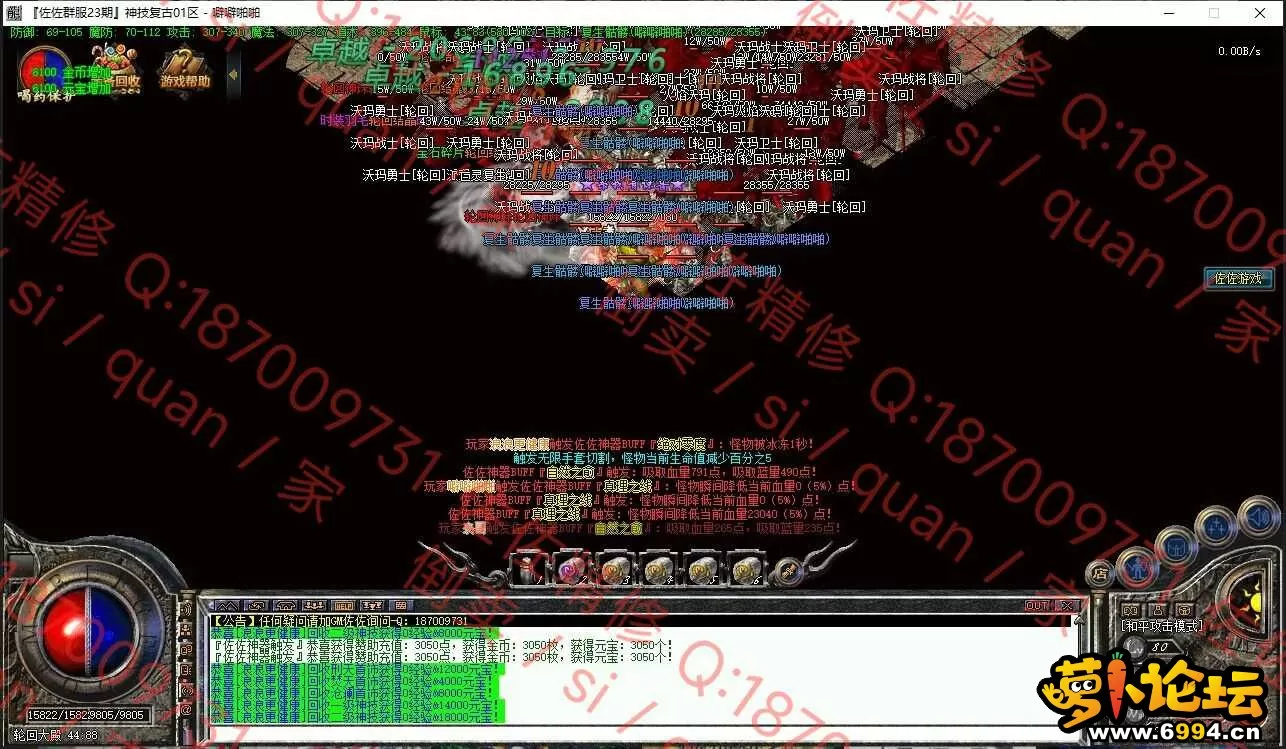 13.webp