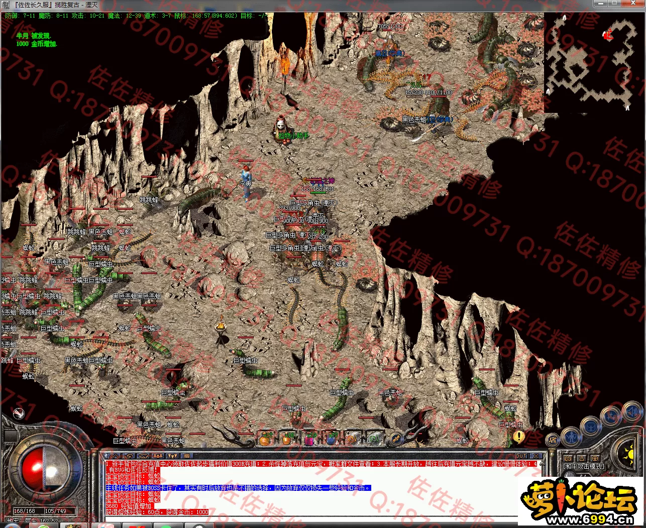 8.webp