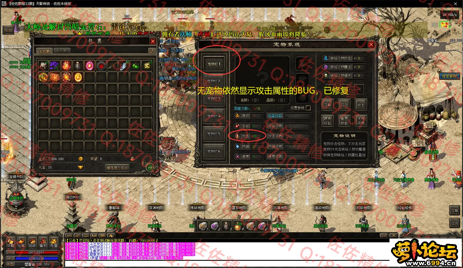 13.webp