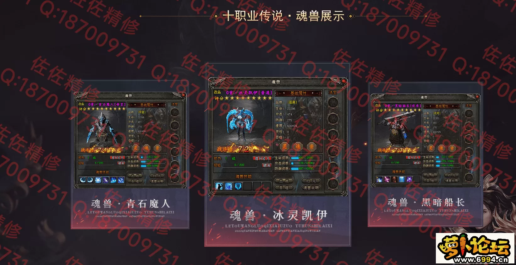网站4.webp