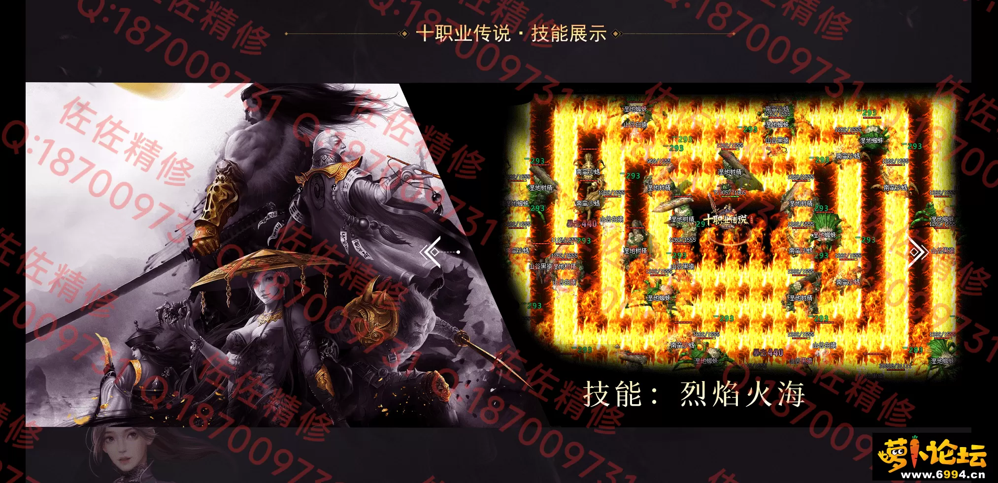 网站5.webp