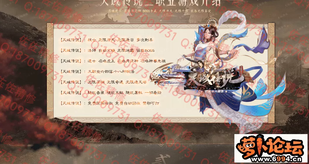 网站2.webp