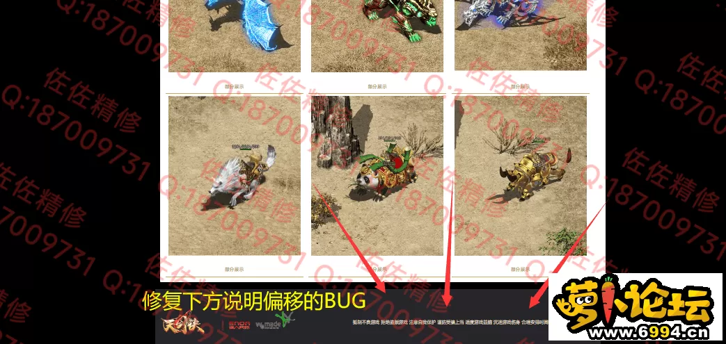 网站2.webp