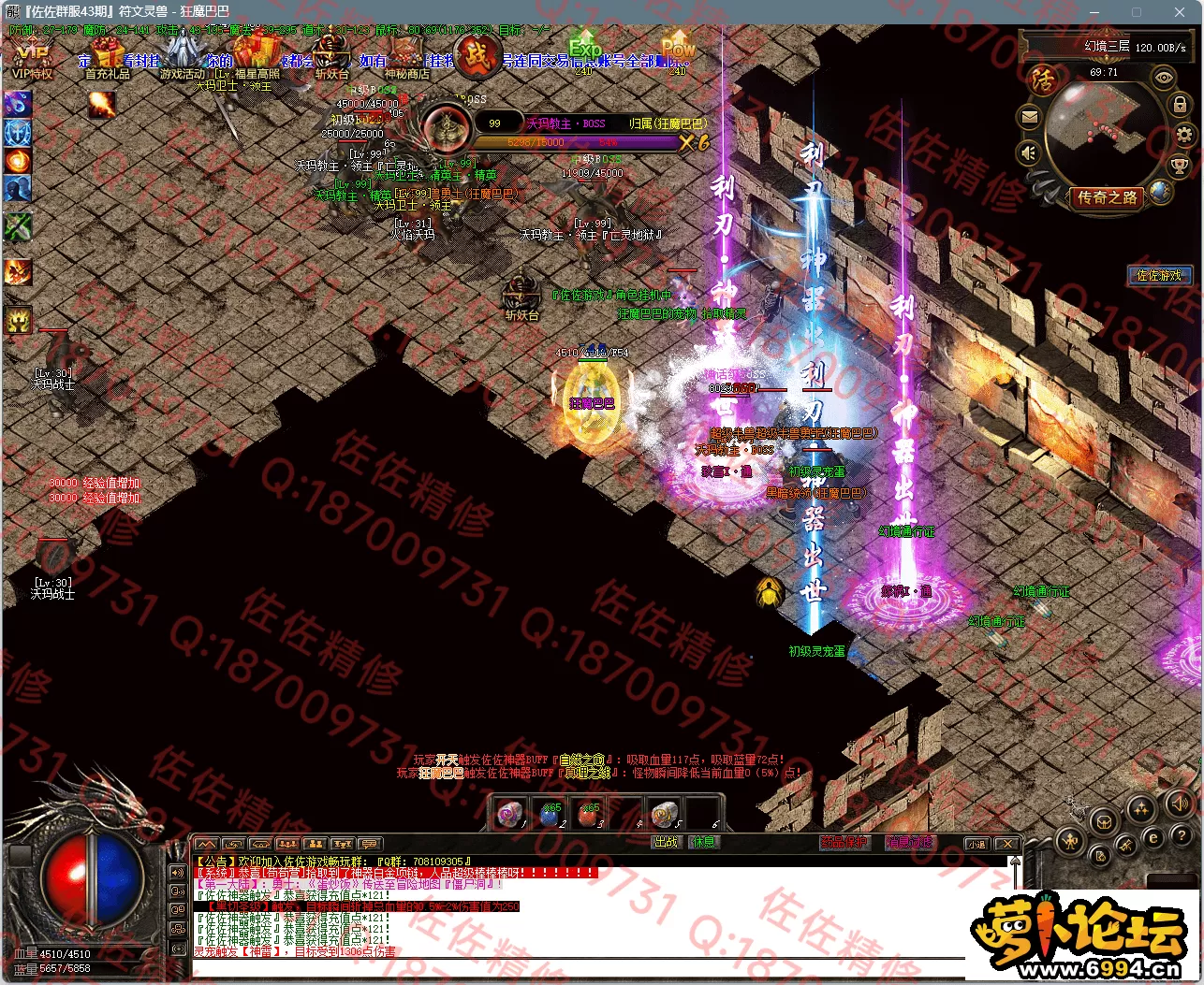 14.webp