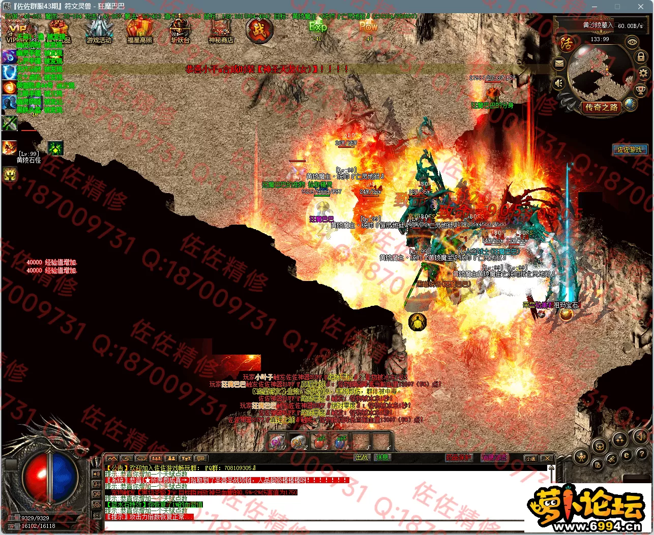 16.webp