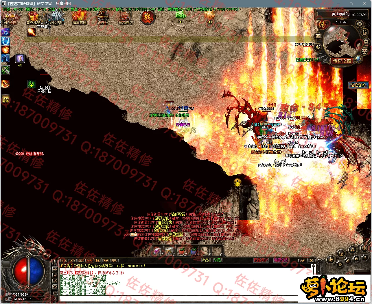 17.webp