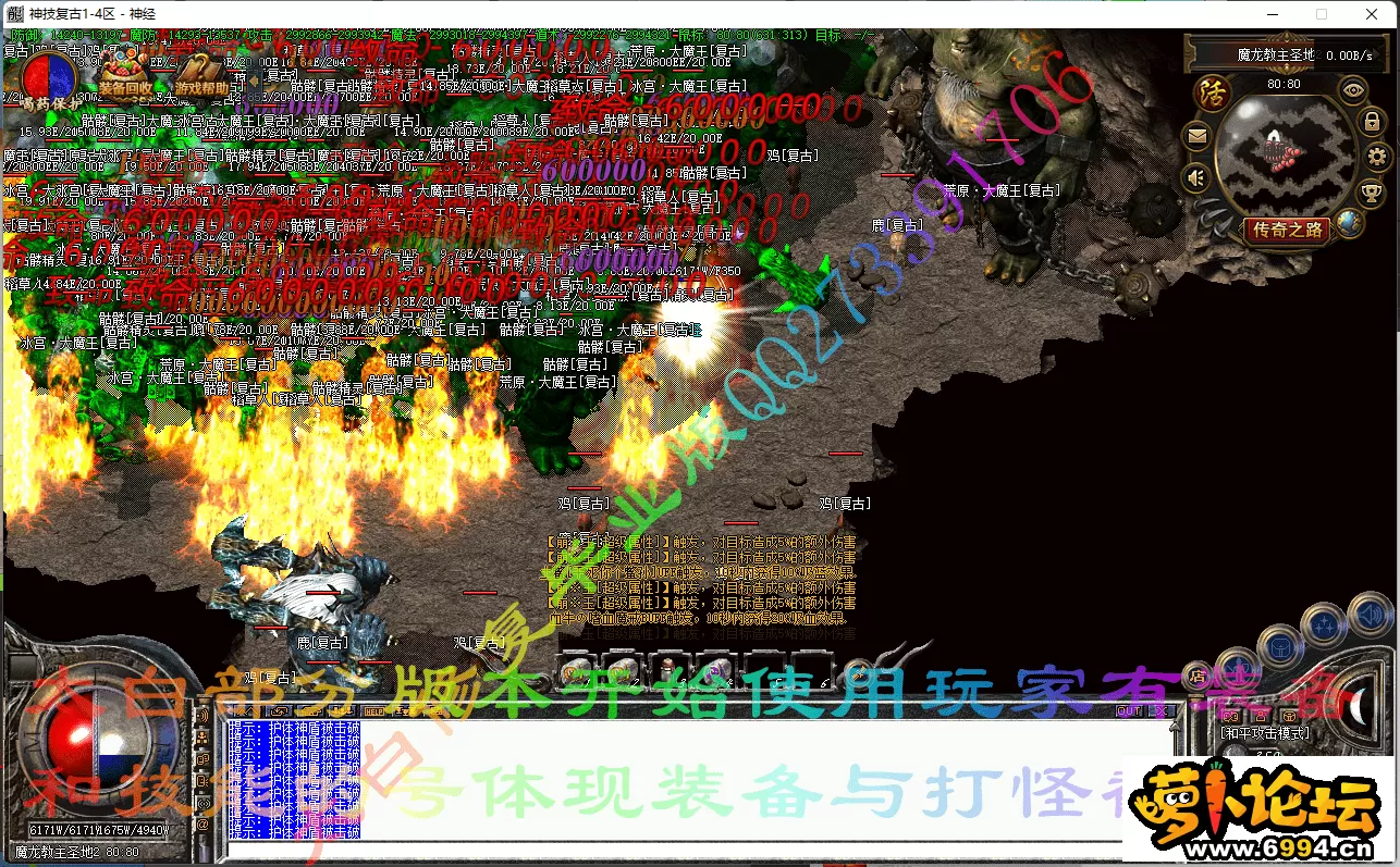 7.webp