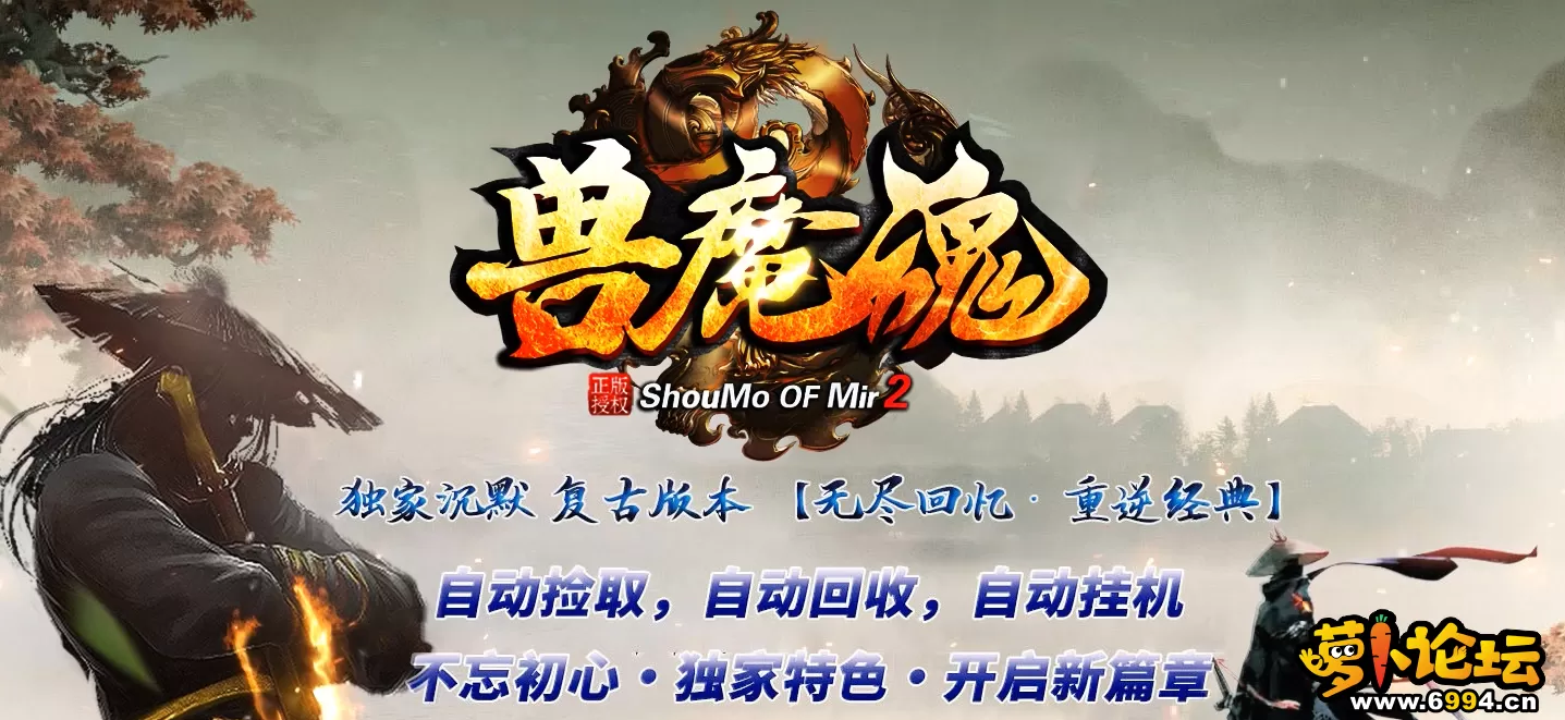 4.webp