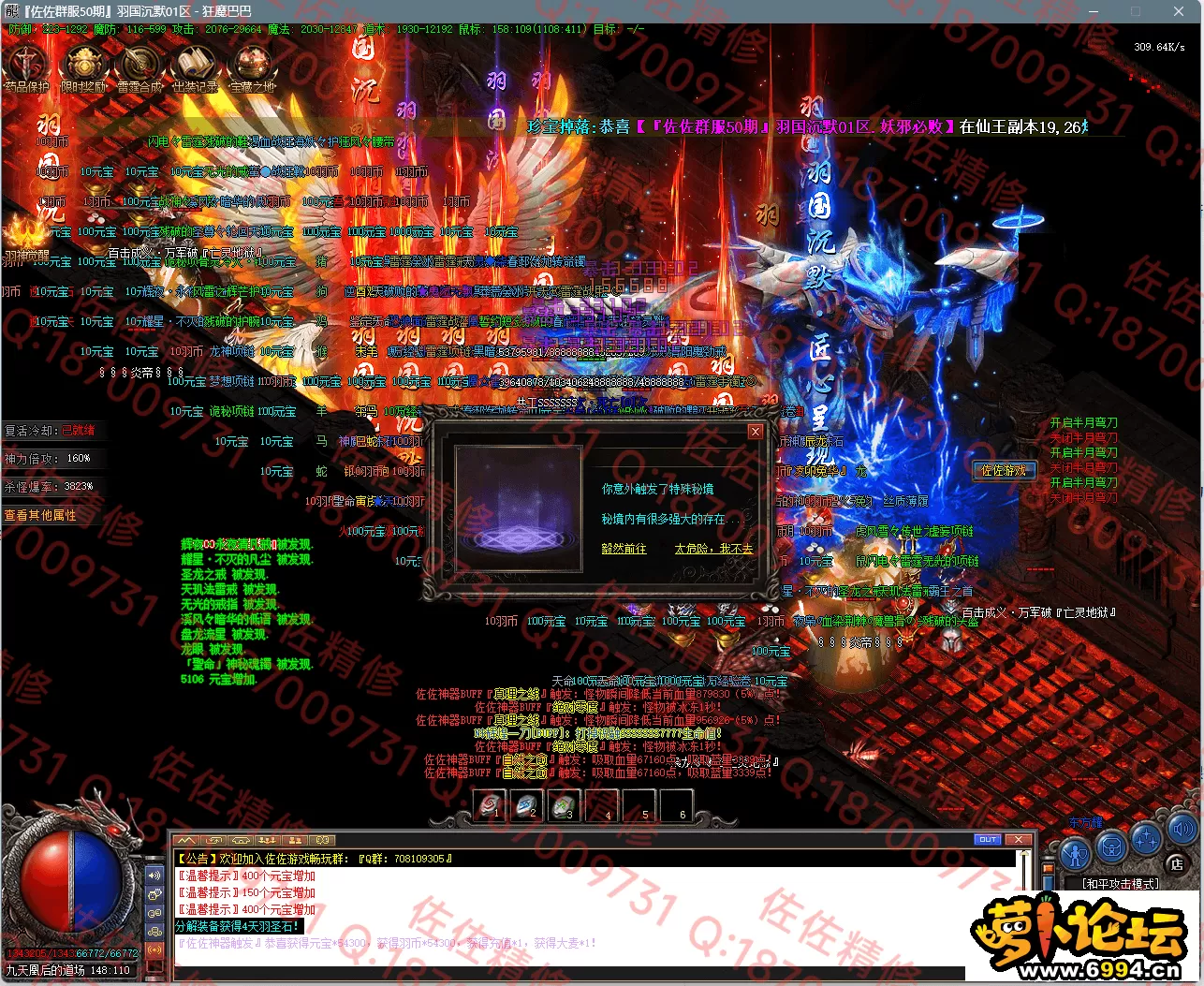 17.webp
