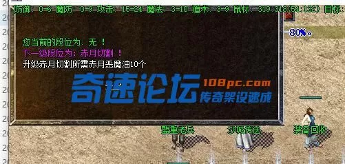 7.webp