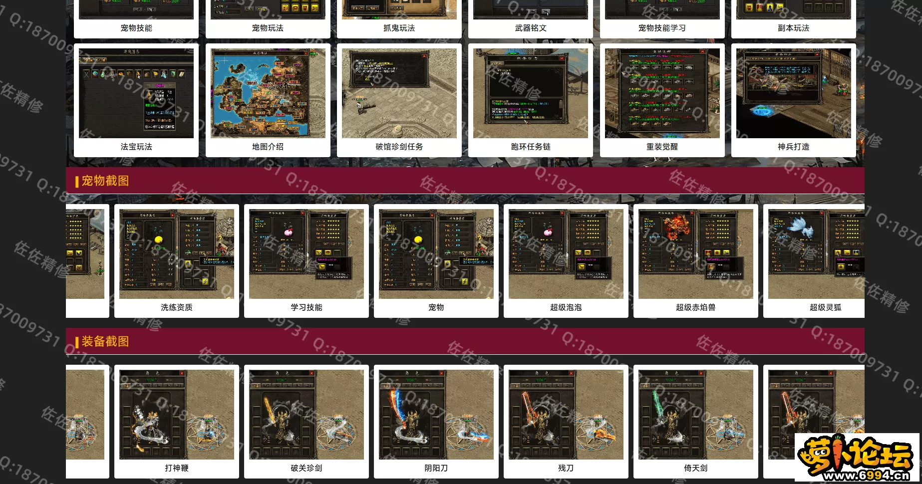 网站2.webp