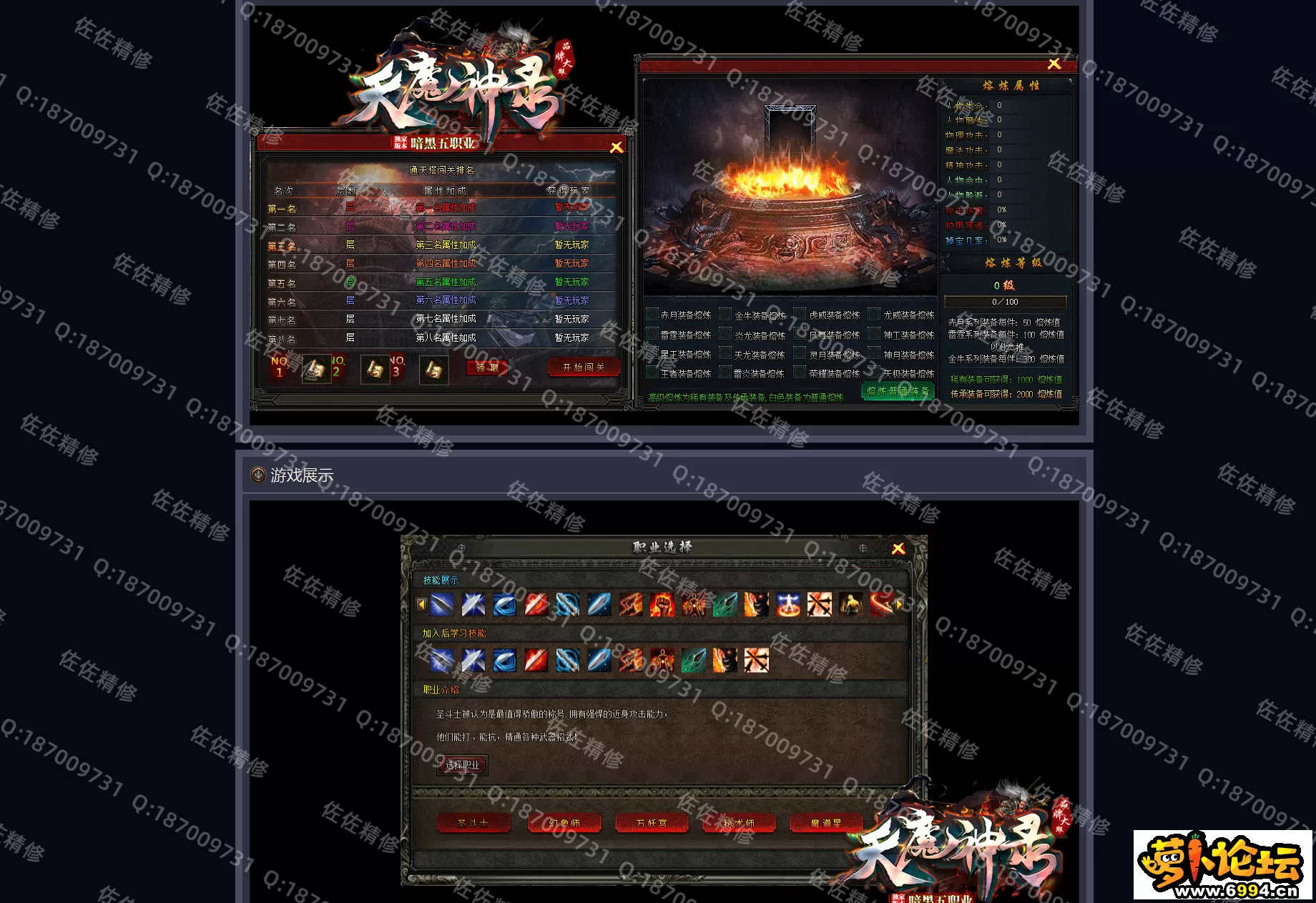 网站2.webp
