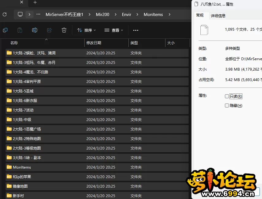 5.webp