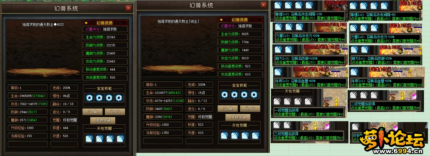 20.webp