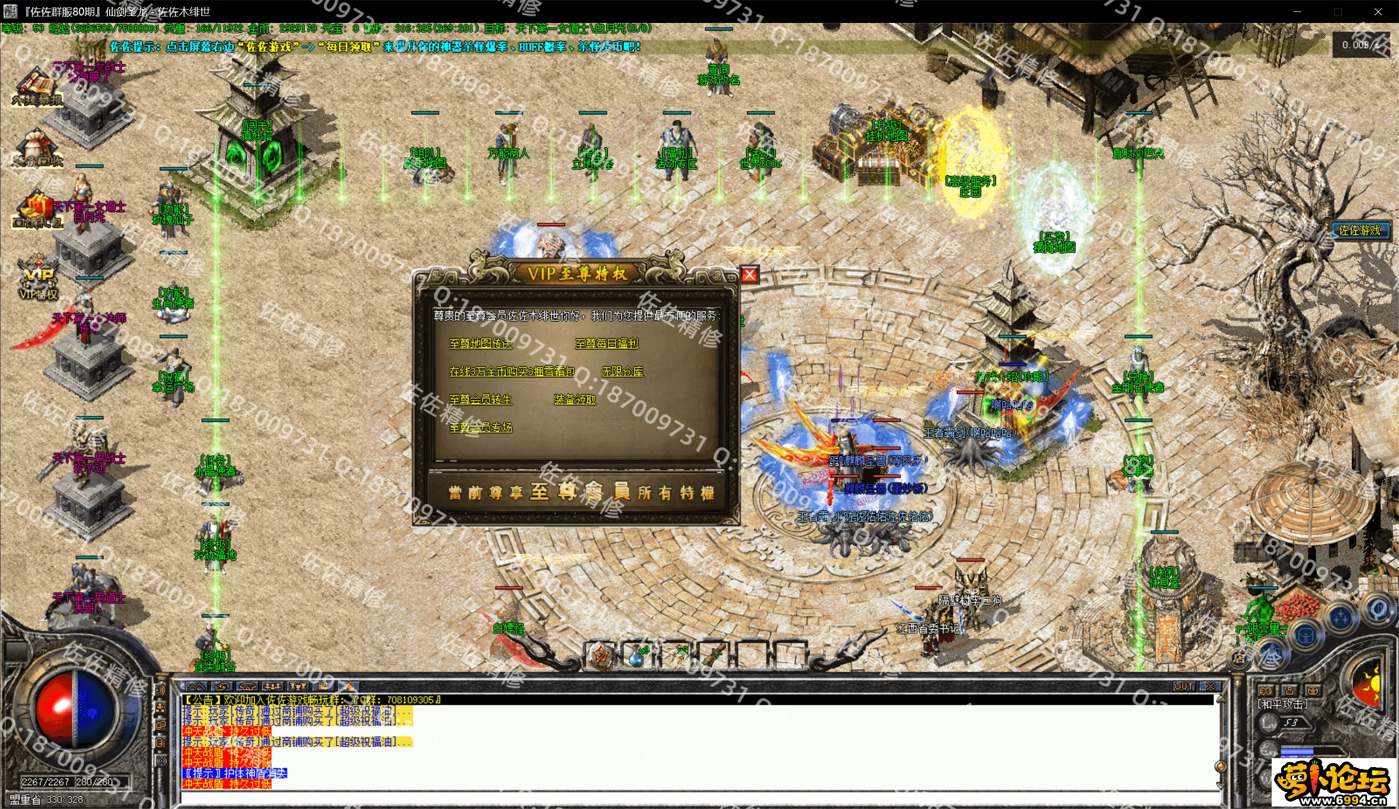 12.webp
