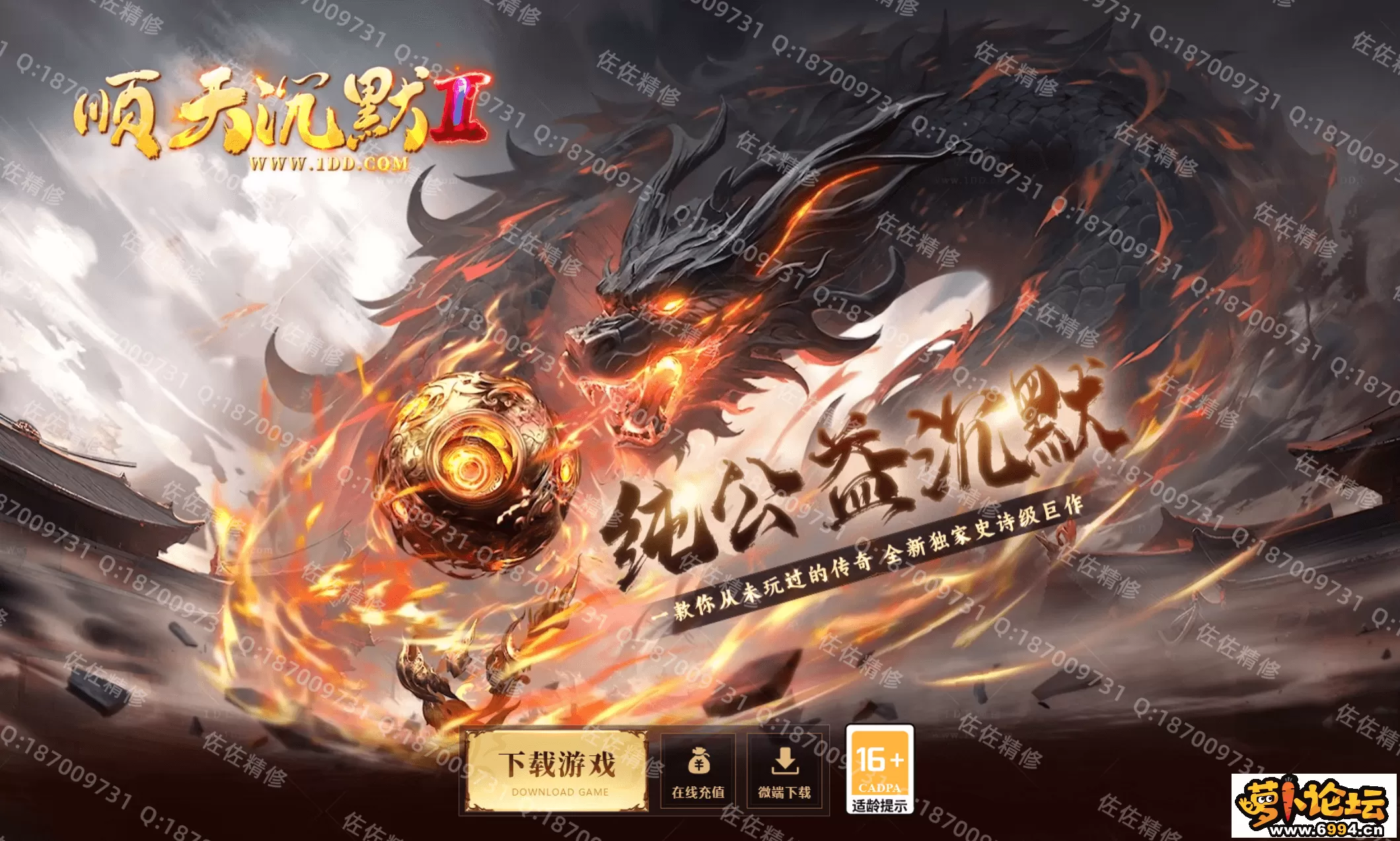 网站5.webp