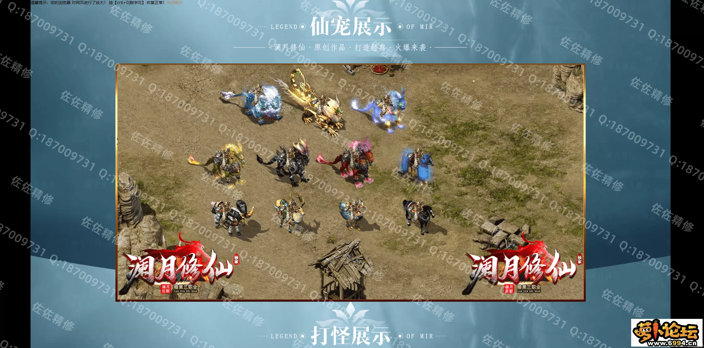 网站4.webp