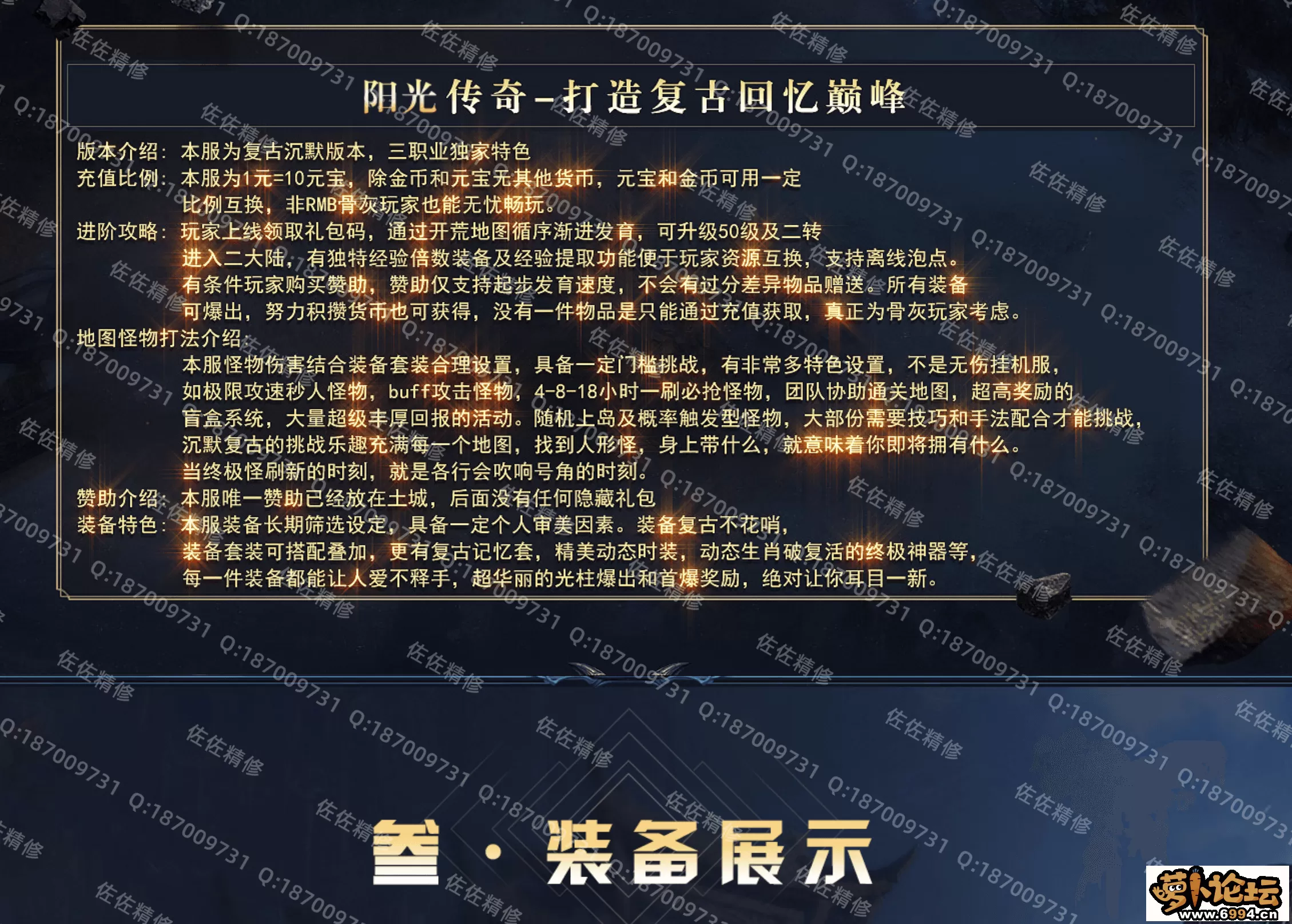 网站2.webp