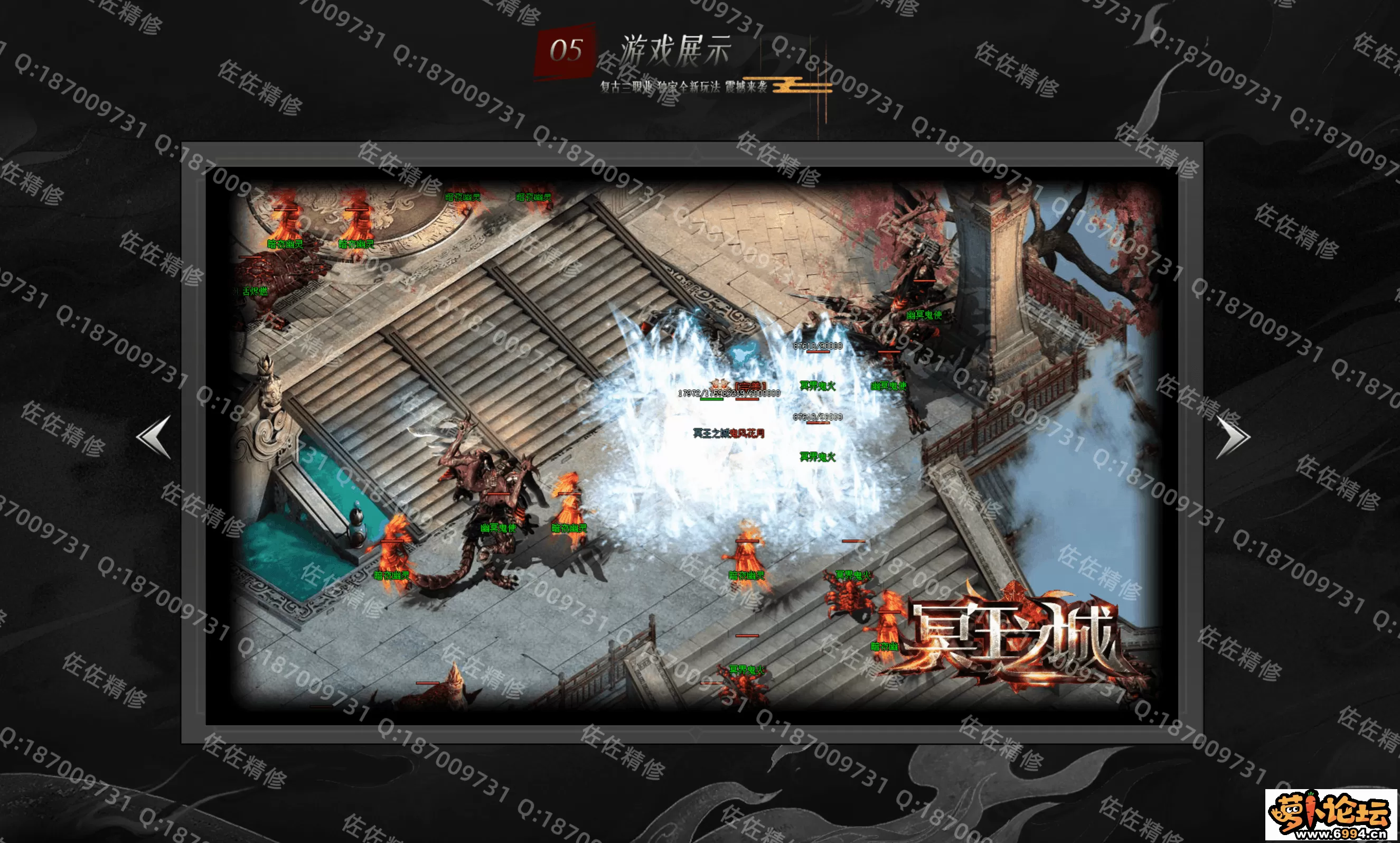 网站4.webp